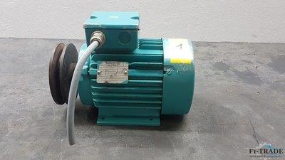 Motor